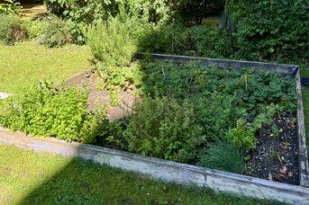 Vegetable patch in the garden